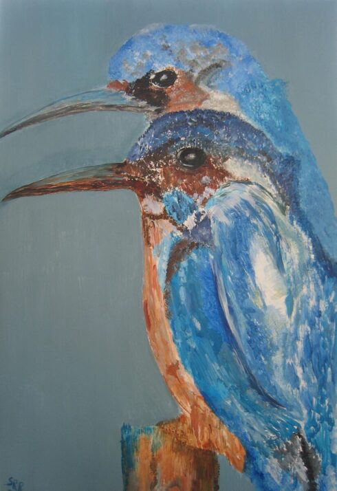 Eisvögel IMG_7699 (2)